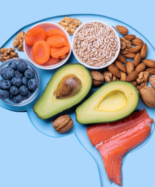 Eixo Cérebro-Intestino: como o sistema nervoso afeta a digestão