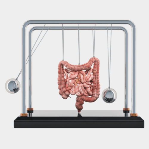 Coordenação Evacuatória: o que é e por que ela é essencial para o intestino funcionar