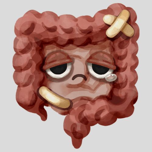 Fisioterapia para Intestino Irritável: uma abordagem diferente